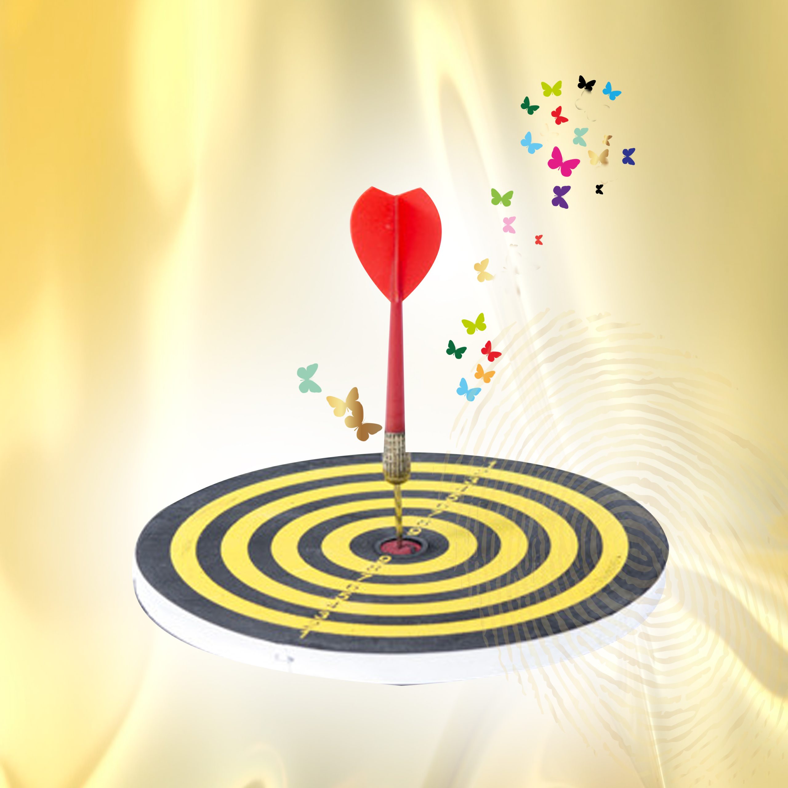 WEBSITE DESIGN ET DÉVELOPPEMENT- Butterfly